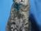 Брутальный кот Мурзик. Фото 14.