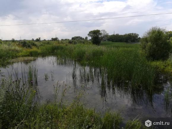 Рыкань карта воронежская область