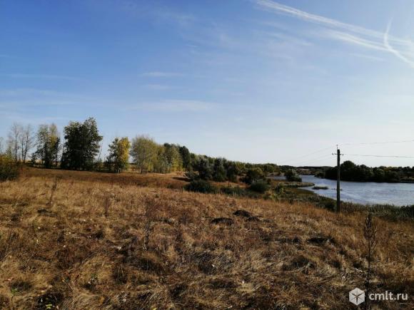 Село медвежье курская область. Пруд Медвежье Воронежская область