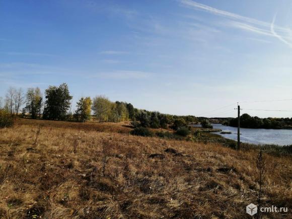 Пруд Медвежье Воронежская область.