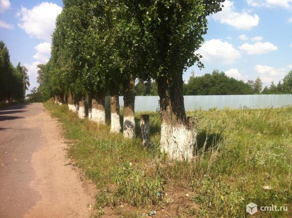 Погода в новоживотинном рамонского воронежской. Новоживотинное Воронеж.