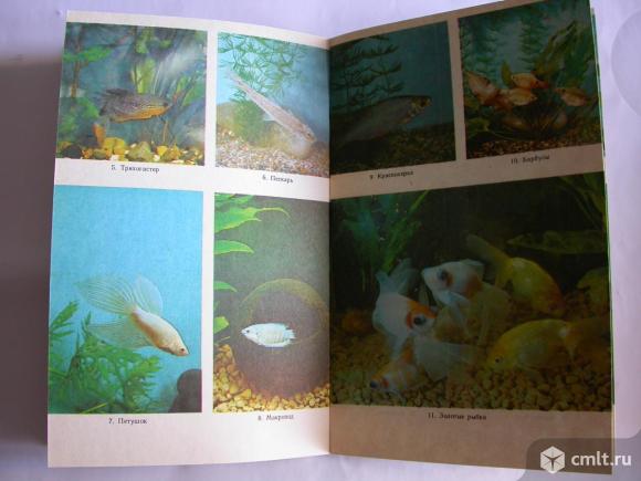 Аквариум в школе. Книга для учителя, 100 р. Фото 4.