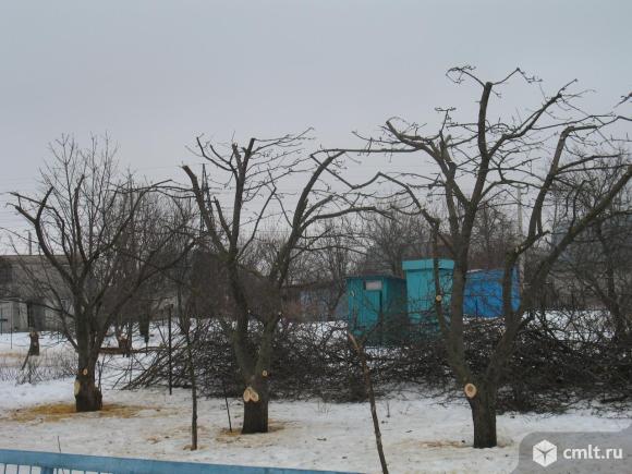 Обрезка сада,садовых деревьев,плодовых кустарников, формирование дерева,. Фото 1.