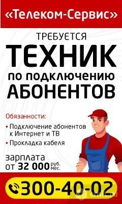 Телеком сервис воронеж сайт. Телеком-сервис Воронеж. Телеком сервис Воронежская область. Телеком-сервис Воронеж официальный сайт. Телеком-сервис Воронеж телефон.