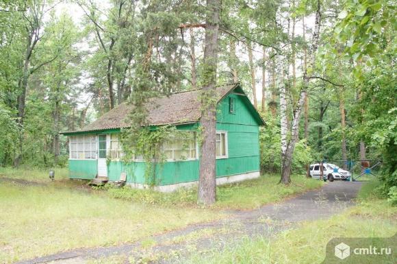 Детский оздоровительный лагерь "Восток"