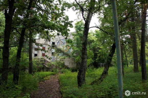 Детский оздоровительный лагерь "Восток"