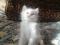 Шикарные котята от сибирских родителей. Фото 3.