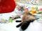 Шикарные котята от сибирских родителей. Фото 7.