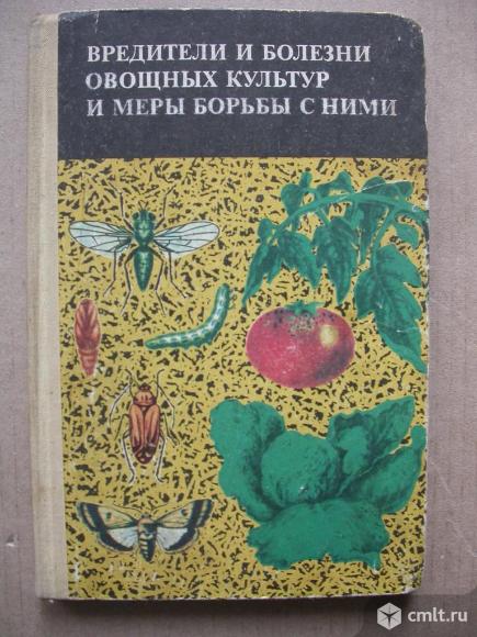 Вредители болезней овощных культур и меры борьбы с ними. Фото 1.