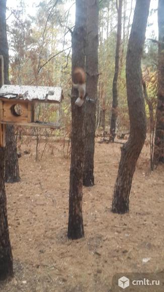 9 Января ул., №233/18. Однокомнатная квартира. Фото 9.