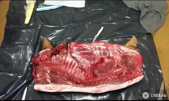 Свинина (мясо вьетнамской вислобрюхой свиньи). Фото 1.