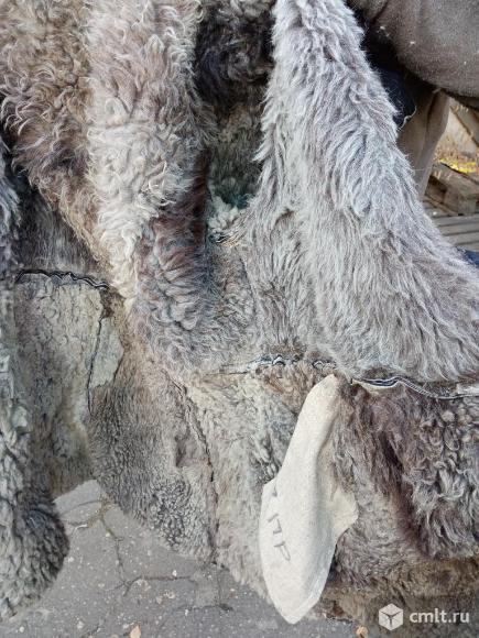 Полушубок. Фото 2.