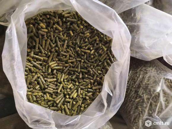 Сено гранулы люцерна. Фото 1.