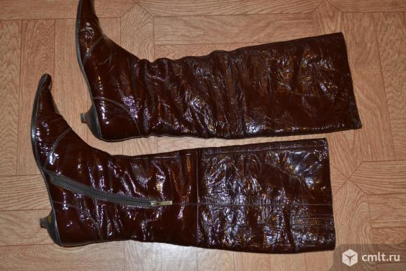 Сапоги итальянские Bonetti. Фото 1.