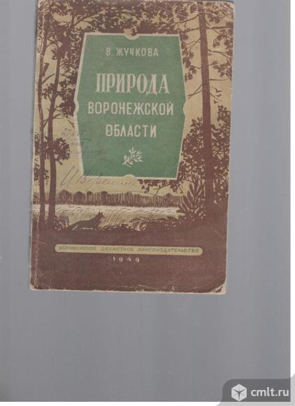 В.Жучкова.Природа Воронежской области.. Фото 1.