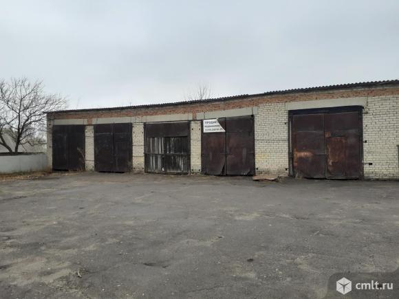 Помещение свободного назначения, 238,1 кв.м,. Фото 1.