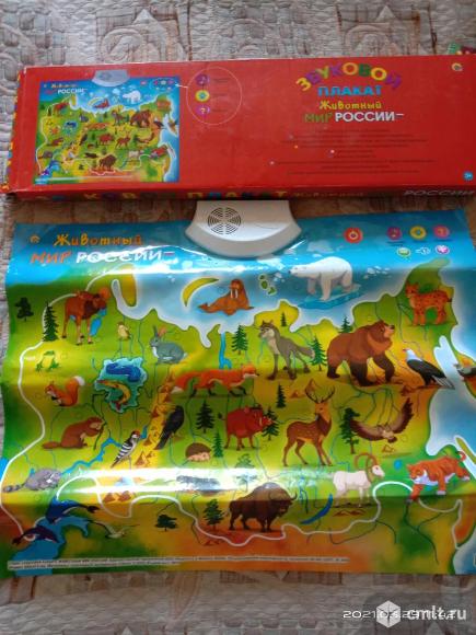 Музыкальный плакат Животный мир России. Фото 1.