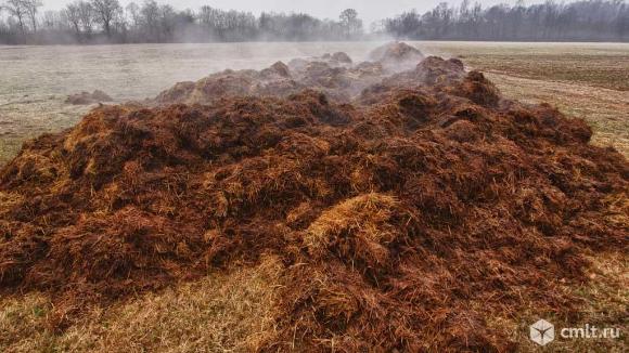 Навоз. Фото 1.