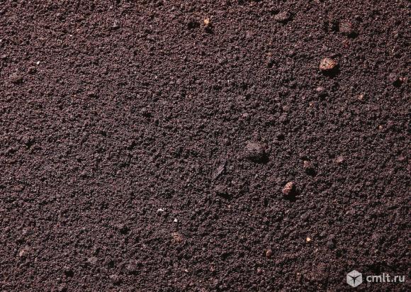 Грунт. Фото 1.