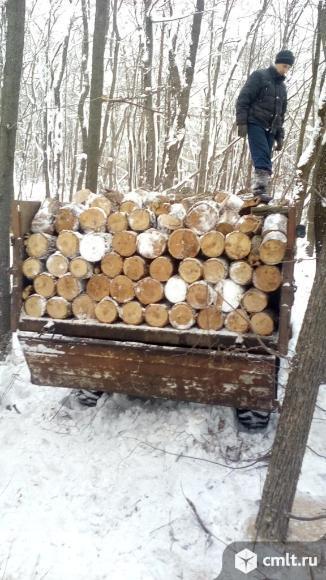 Дрова: сосна, береза, дуб, осина, можно вперемешку. Фото 1.