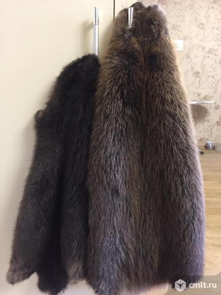 Продам шкуры бобра. Фото 1.