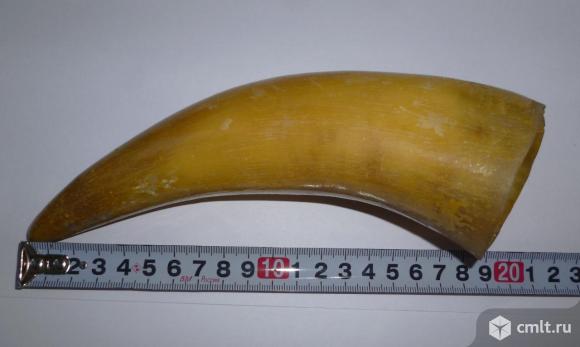 Рог кубок для вина. Фото 1.