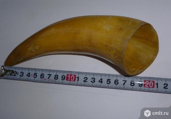 Рог кубок для вина. Фото 2.