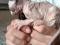 Котята породы Канадский Сфинкс. Фото 5.