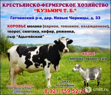 Крестьянско-фермерское хозяйство "Кузьмич Т.Б." в Гатчинском районе. Фото 1.