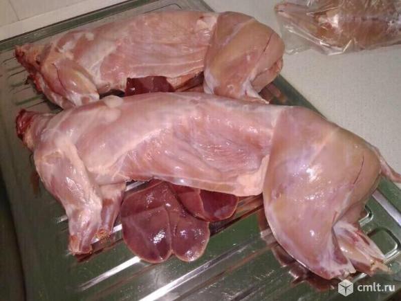 Мясо кролика. Фото 1.