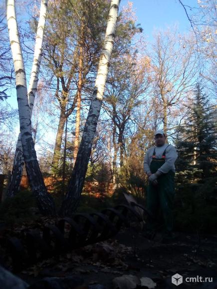 Подработка. Фото 1.