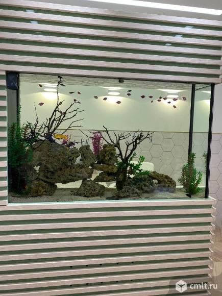 Аквариум на 500 л. Фото 3.