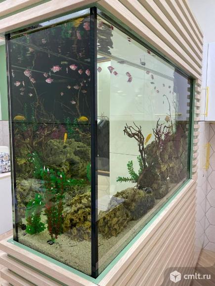 Аквариум на 500 л. Фото 1.