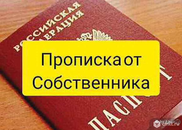 Помощь в оформлении документов:. Фото 1.