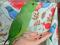Ожереловые попугаи Крамера (птенцы). Фото 1.