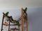 Ожереловые попугаи Крамера (птенцы). Фото 3.