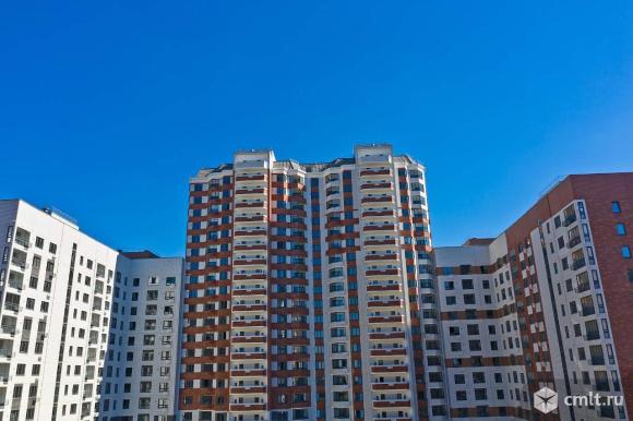 Вик южный бул 9 фото