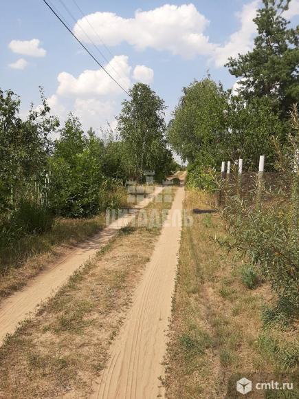 Село медовка воронежская область. Медовка воронеж. Рп5 медовка. Медовка классика. Рп5 медовка.