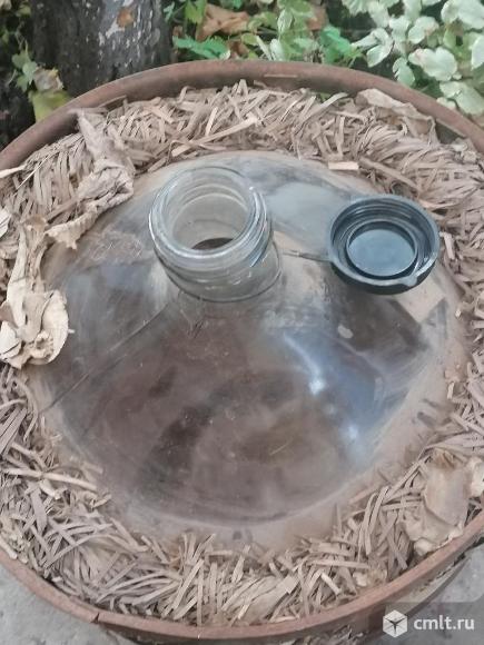 Бутыль 50 литров, для вина. Фото 2.