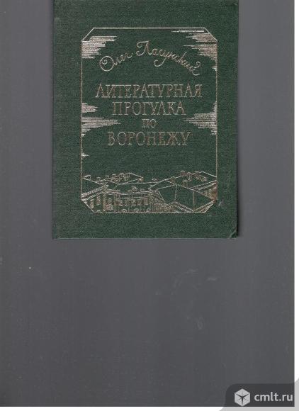 Олег Ласунский. Литературная прогулка по Воронежу.. Фото 1.