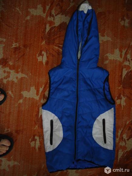 Жилетка болониевая с капюшоном. Фото 1.