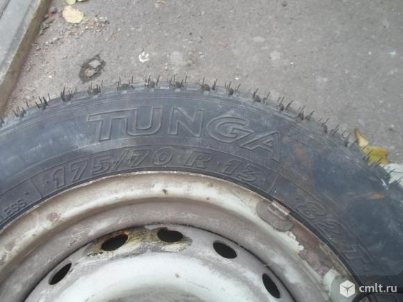 Шина шипованная. Фото 1.