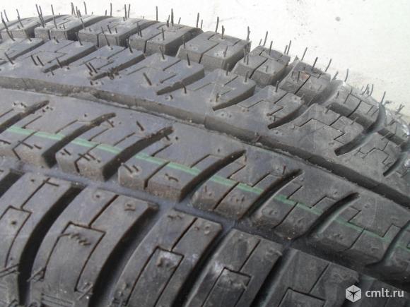 Шина шипованная. Фото 5.