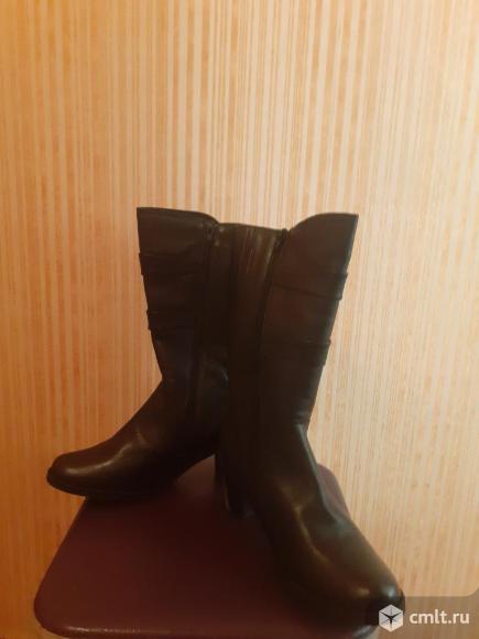Продаю зимние  женские сапоги. Фото 1.