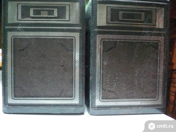 Акустическая система томпсоник. Фото 1.