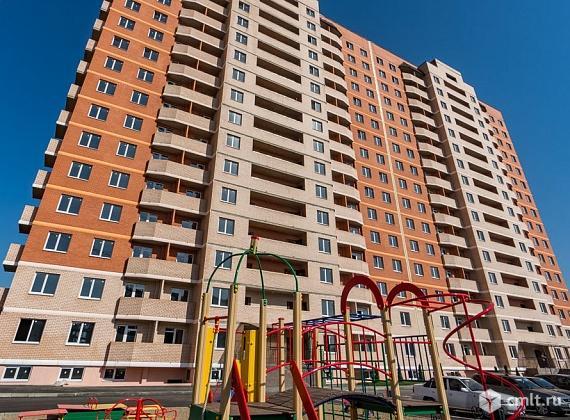 Абрикос краснодар мкр молодежный ул душистая фото