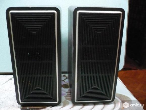 Акустическая система Электроника   311. Фото 1.