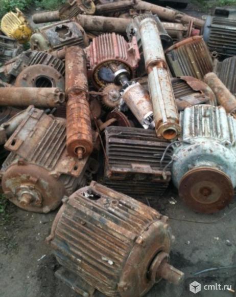 Куплю электродвигателя.. Фото 2.