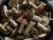 Грибочки солёные и маринованные и сушеные. Фото 6.