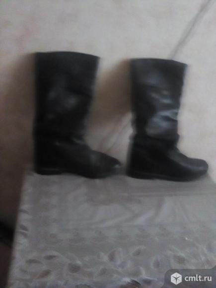 Сапоги женские. Фото 1.